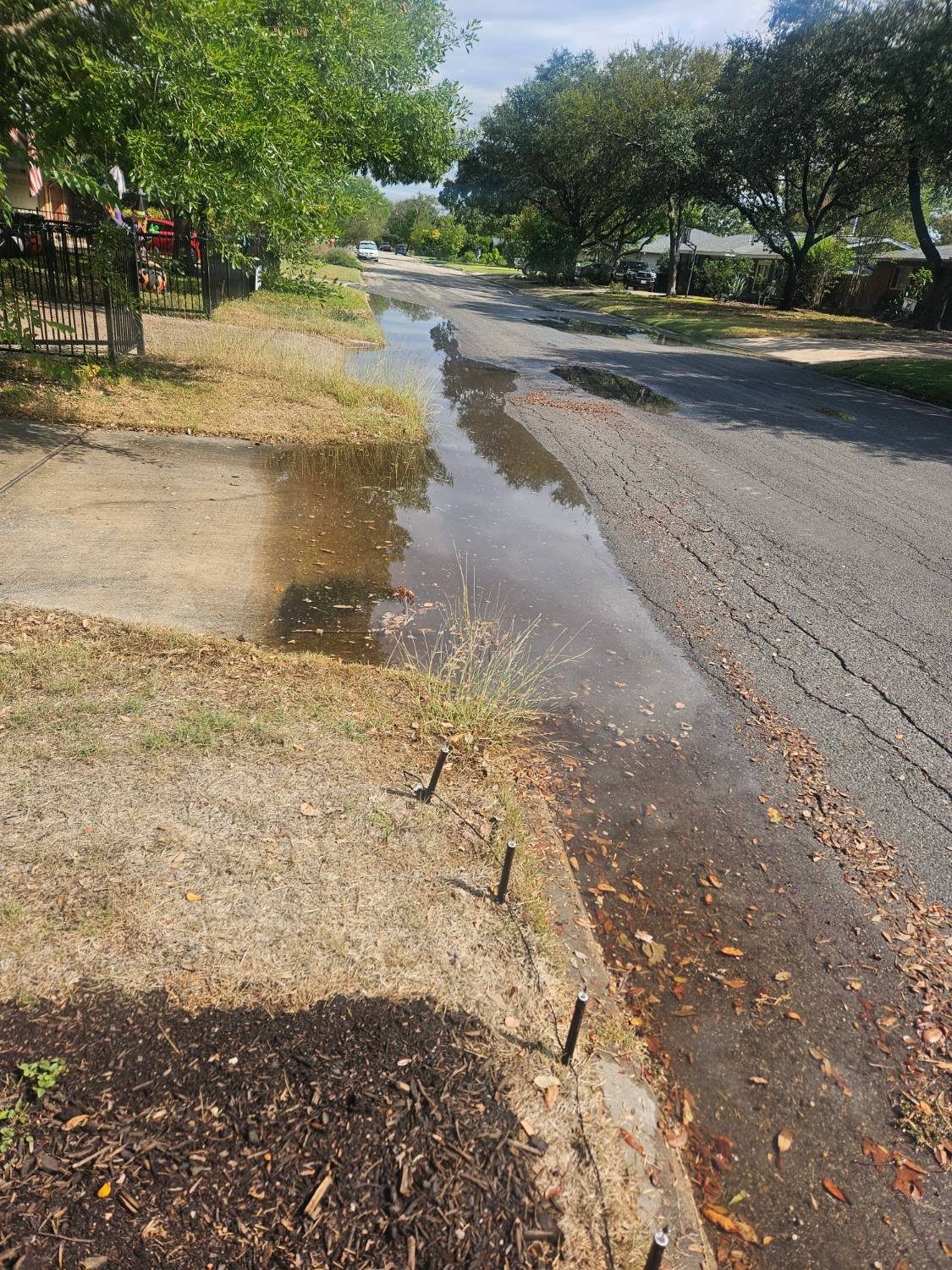 Before — stormwater sheeting down the street gutter and ponding at the curb at the Alamo Heights site, with nowhere to soak in