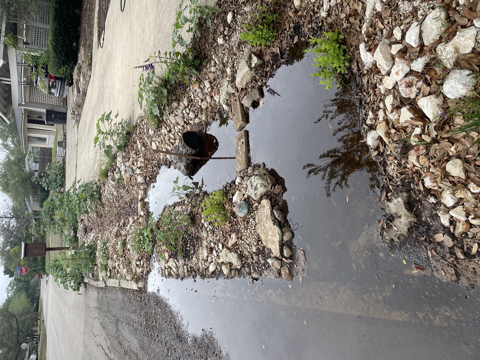 Bioswale carrying stormwater during rain