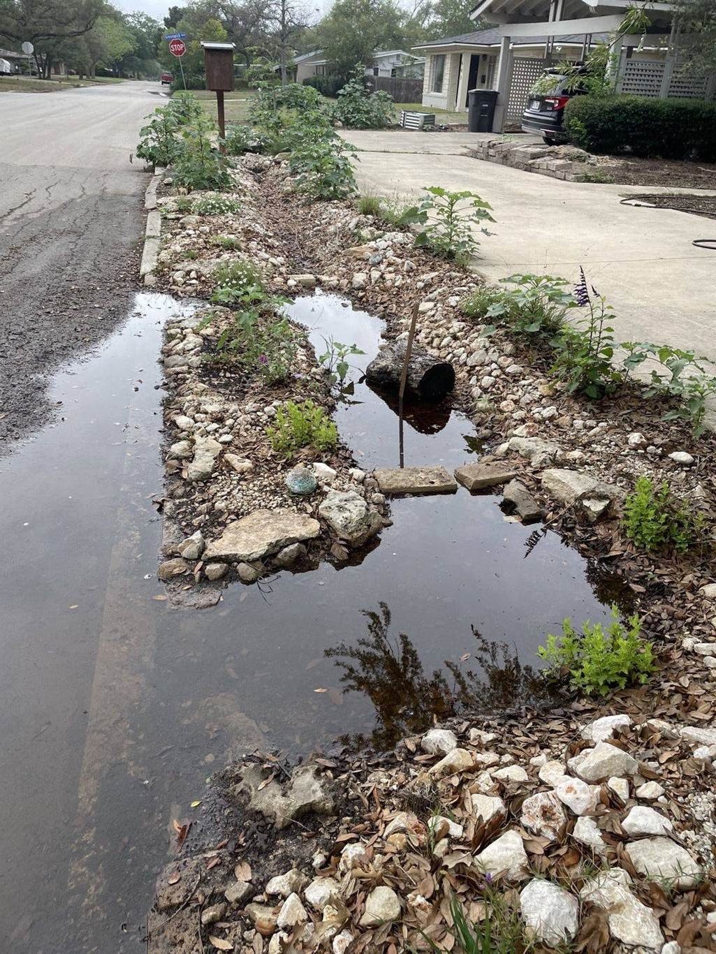 The limestone-lined dry-creek bioswale full of stormwater during a downpour in Alamo Heights — water held in the planted channel instead of the street
