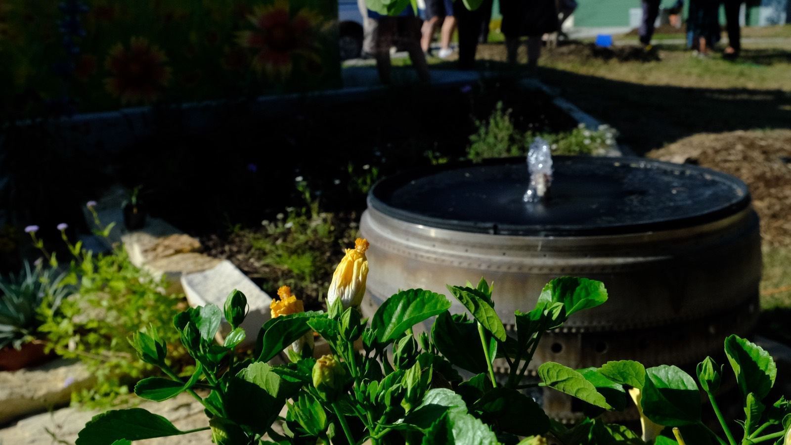 Fountain detail among native plantings at a supportive senior community, built by Dorian Dégagé — San Antonio, Texas