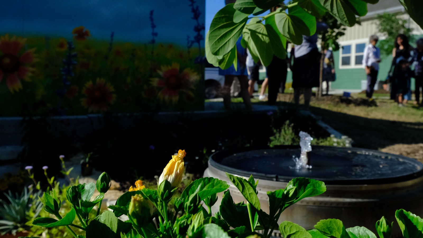 A fountain bubbling among native plantings, with the wildflower mural and senior housing behind